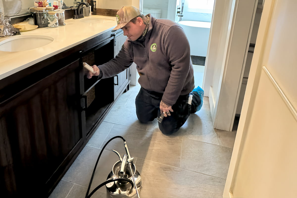 home pest control services in Tallahassee